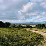 Domaine De Pelican Gignac (Herault)