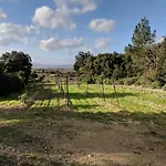 Domaine De Pelican Oda ve Kahvaltı 4*
