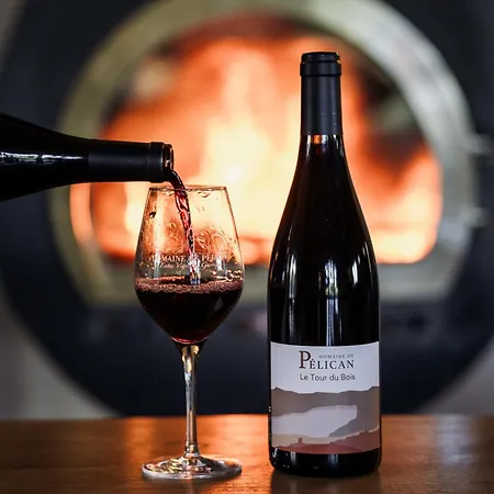 فندق مبيت وإفطار Domaine De Pelican
