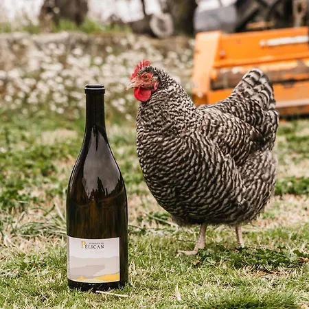 Domaine De Pelican فندق مبيت وإفطار