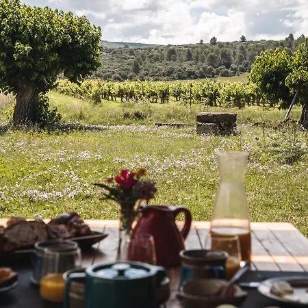 Domaine De Pelican