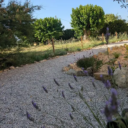 Domaine De Pelican Oda ve Kahvaltı 4*