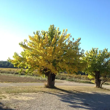 Domaine De Pelican 4* Gignac (Herault)