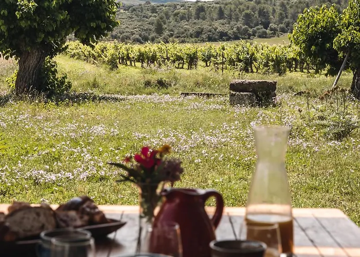 Domaine De Pelican