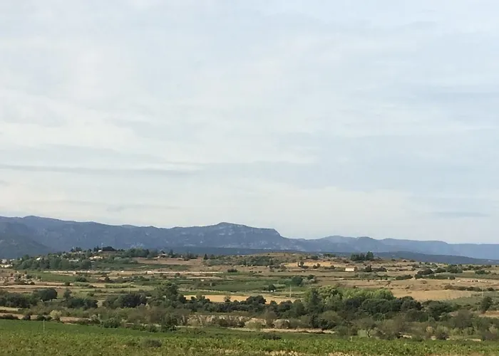 Domaine De Pelican